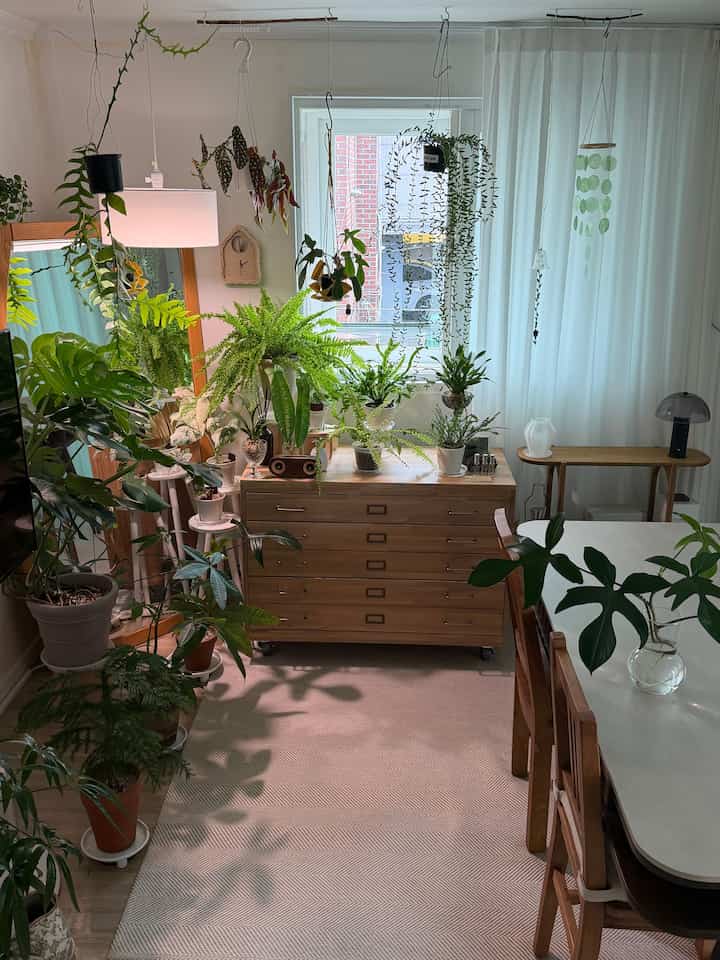 ＃インテリアノウハウ＃コンスープ記録集 

植物と原木家具がある居心地の良いリビングルーム🌿

✔️バンド原木支流箱
✔️ダーバンポセリンセラミック原木ダイニングテーブル
✔️ビビッド白樺の木材棚

原木からなる家具に並んで置かれた
緑の植物が一緒に
世界のどこよりも快適で居心地の良い私たちの家のリビングルーム💚
。
。
。
＃植物＃植民地時代＃フランテリア＃植物インテリア＃支店ボックス＃ホームインテリア＃バンド＃木の引き出し＃ウッドインテリア＃フロリダ美容＃ポセリンセラミックダイニングテーブル＃ダイニングテーブル＃原木棚 
