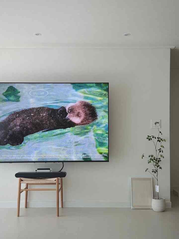 #집꾸미기 #홈스타일링조합 #신혼집인테리어 #식물인테리어 #우드인테리어