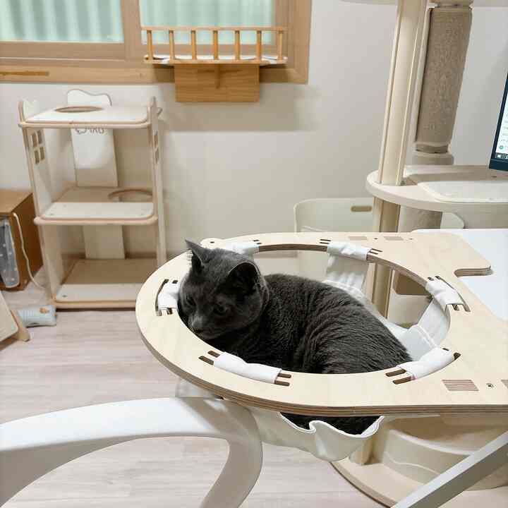 机の上に登る猫がいるので
いつも仕事をするときに邪魔される感じがしましたよ！ 🥲

だから楽に仕事をして
猫たちも楽に休んでほしい
デスク型ハンモックを注文しました。
猫はとても好きです🫡

頑丈で揺れも赤球
サイズが大きいので、私たち9   #고양이
