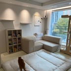 아기와 고양이 두 마리와 함께 지내는
우리집 거실을 소개합니다 🏡🤍

햇살과 바람을 좋아하는 냥이들을 위해
창가 한쪽은 아이들의 자리로 내어주고 🐈🐈‍⬛
햇살을 받으며 낮잠도 자고 바깥 구경도 할 수 있도록 꾸며줬어요 ☁️⊹࣪ ˖ 

거실의 중심이 되는 소파는 모듈 소파의 장점을 최대한 활용해 우리집 구조와 생활 동선에 맞게 자유롭게 배치해주고 있어요 .ᐟ 

아기 책장은 벽면에 가지런히 배치해
자연스럽게 책을 꺼내볼 수 있는 독서존으로 ,, 📚
장난감은 줄이고, 책과 자주 가지고 노는 교구를 중심으로 두어 아이가 거실에서도 편하게 놀 수 있도록 꾸며봤어요 ◡̈ 
TV 아래 공간도 그냥 비워두기 아쉬워서
아이팜 미끄럼틀을 배치해 공간을 알차게 활용하고,
방문에는 베베누보 아기그네를 설치해 집 안에서도 신나게 놀 수 있는 놀이공간을 만들어줬답니다 🛝

다만 그네를 설치한 철봉이 조금 신경 쓰여
두잉썸 가림막 커튼으로 살짝 가려줬어요 .ᐟ.ᐟ.ᐟ (대만족 
..💛)
아기와 냥이들이 함께 생활하는 공간인 만큼
예쁜 것보다 우리 가족의 생활에 맞게,
공간을 하나도 허투루 쓰지 않는 것을 중요하게 생각하며
거실을 꾸며보았답니다 😊🫧


#거실스타일링 #거실인테리어 #아기와고양이가사는집 #아기가사는집 #고양이가사는집 #25평거실인테리어 #25평인테리어 #오늘의집ftc27기 #그린웨일 #캣타워 #캣폴 #그린웨일캣타워 #수면공감 #토퍼 #매트리스추천 #쇼파 #아기책장 #교구장 #캣워커 