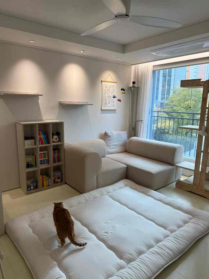 赤ちゃんと猫2匹で過ごす
私たちの家のリビングルームを紹介します🏡🤍

日差しと風が好きなニャンニのために
窓辺の片方は子供たちの席に出してくれて🐈🐈‍⬛
日差しを浴びて昼寝も眠り、外観もできるように飾ってくれました☁️⊹࣪˖ 

リビングルームの中心となるソファは、モジュールソファのメリットを最大限に活用し、我が家の構造と生活動線に合わせて自由に配置してくれています。 

赤ちゃんの本棚は壁に揃っています。
自然に本を取り出せる読書ゾーンで、、📚
おもちゃは減り、本とよく遊ぶ教区を中心に置き、子供がリビングでも楽に遊べるように飾ってみました◡̈ 
テレビの下のスペースもただ空にしておくのが残念です。
アイパーム滑り台を配置して空間を充実に活用し、
訪問にはベベヌボの赤ちゃん振動を設置し、家の中でも楽しく遊べる遊び空間を作ってくれました🛝

ただしスイングを設置した鉄棒が少し気になる
ドゥインサム遮蔽カーテンで軽く隠した。 
..💛）
赤ちゃんとニャンニが一緒に生活する空間だけ
かなりよりも、私たちの家族の生活に合わせて、
スペースをひとつもホツル書かないことを大切に考えて
リビングルームを飾ってみました😊🫧


#リビングスタイリング#教区長 #キャットウォーカー 
