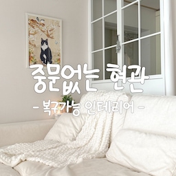 #복구가능인테리어
중문없는 현관! 복구 가능한 가벽으로 해결해요🤍
현관과 거실을 분리해주는 중문이 없어서 고민했는데
이사갈때 쉽게 복구 가능하고 떼어갈 수 있는
가벽을 세워 중문대용으로 사용하고 있어요
옆면은 철제 가벽을 세워 공간분리해주고
앞면은 암막커튼을 쳐서 출입이 쉽도록 해줬어요
공사 없이 나사만 돌려 설치할 수 있는 
쉬운 난이도라 누구든 설치가능한데
조금 무거운 편이라
두명이서 같이 세우는게 더 안전할것 같아요
흔적 하나 남지 않게 깔끔하게
원상복구 할 수 있으니
중문 대용으로 고민중이라면 추천드립니다!
#맞팔 #소통 #공간분리 #현관인테리어
#현관 #현관꾸미기 #거실꾸미기 #거실가벽
#현관가벽 #가벽인테리어 #가벽파티션
#파티션 #철제가벽 #가벽 #암막커튼
#화이트커튼 #화이트암막커튼 #소파 #패브릭소파 #스윙소파 #3인소파 #쇼파 #액자 #액자인테리어
#벽꾸미기 #벽꾸 #화이트인테리어 #화이트우드
#화이트거실