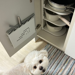 된찌가 소개시켜주는 우리집 주방 👩🏻‍🍳🐶🤎
좁은 주방이라 수납 활용도를 높여주는 아이템이 필수에요.
주말에만 가는 신혼집이라 요리할 일도 없는데, 식기류 욕심은 끝도 없답니다 . . 이제 포화상태인데 말이죠 🥹
#콘수프기록집 #오늘의우리집 #주방수납 #주방용품 #주방 #글로벌나이프 #티리난지 #트루쿡 #시라쿠스 #센느파리 #신혼템 #예쁜살림템 #선팔 #맞팔 #선팔하면맞팔 #맞팔환영 #소통 
