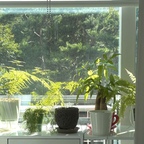 남향의 장점🌿
온전히 초록을 만끽할 수 있어요!
초록초록한 바깥 풍경이랑 너무 잘어울리죠?

#오늘의집 #오집템 #베란다인테리어 #식물 #식물인테리어 #플랜테리어 #초록인테리어 #초록초록 #식집사