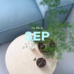 아직은 가을이 오기 전,
저희 집 9월의 모습이에요 🍃
거실부터 주방, 침실까지
요즘 저희 집의 소소하고 다채로운 순간들을 담아봤어요.
계절이 바뀌기 전의 집을
가볍게 기록해봅니다 🩵
#FTC27 #거실스타일링 #주방스타일링 #침실스타일링 #집꾸미기 