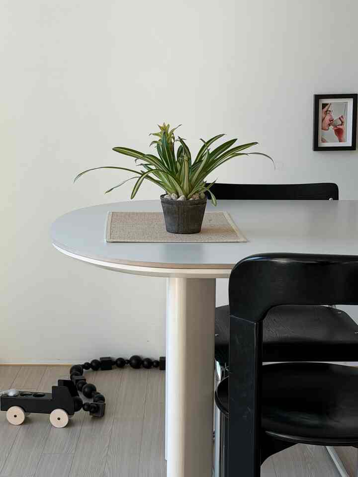 我が家愛情植物 2. 蝶とは
小さいながらも存在感
すっきりして見るたびに気持ちいい注意

＃リビングルームインテリア 