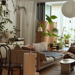 #콘수프기록집 #오늘의우리집 
툭 찍어본 사진인데 마치 정글같아🌿🌿
#거실 #거실인테리어 #플랜테리어 #식물데코  #식집사  #식물인테리어 #식집사성장기 #세리프tv #세리프티비 #소파테이블 #조명 #조명인테리어 #폴딩도어 #러그