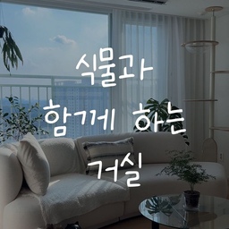 거실에 있는 식물들을 한 번 모아봤어요.
처음부터 이렇게 채우려고 했던 건 아닌데
하나씩 들이다 보니 어느새 거실 곳곳에 자리를 잡았습니다.
햇빛이 잘 드는 자리도 있고
조금 덜 밝은 곳에 있는 식물도 있고.
지금은 이 정도가 딱 좋은 것 같아요.
#플랜테리어 #식물인테리어 #거실인테리어 #홈스타일링 #식물집사