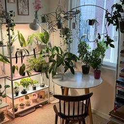 #인테리어노하우 #콘수프기록집 
식집사의 홈카페존 만들기🌿
✔️원형테이블
✔️원목의자
✔️루나리프 아치 스탠드조명
✔️좋아하는 식물 두기
햇살이 가장 잘드는곳에 식물 자리를 내어주고
작은 원형 테이블과 아치형 조명을 배치했어요.
창가 자리로 바깥도 잘 보이고 
식물 구경도 할수 있어 힐링의 장소 랍니다.
왠만한 카페보다 더 기분 좋은 나만의 힐링 스팟이예요.
.
.
.
#식물 #식집사 #플랜테리어 #플랜테리어소품 #식물인테리어 #식물데코 #식물선반 #선반 #식물등 #조명 #장스탠드 #스탠드조명 #오메코조명 #오메코 #티테이블 #러그 #홈스타일링 #홈데코 #홈인테리어 #인테리어 #집꾸미기 #식물키우기 #화분 #플라스틱화분 #행잉식물 #화분걸이 #물음표고리 
