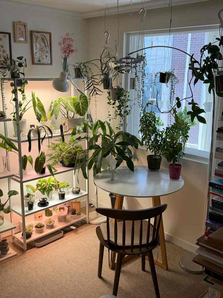 ＃インテリアノウハウ＃コンスープ記録集 

植執事のホームカフェゾン作り🌿

✔️円形テーブル
✔️原木椅子
✔️ルナリフアーチスタンド照明
✔️好きな植物を置く

日差しが最もよくある場所に植物の場所を与えます。
小さな円形のテーブルとアーチ型の照明を配置しました。
窓辺の席で外もよく見えます。 
植物口径もでき、癒しの場所です。

なぜかカフェよりも気持ちいい私だけの癒しスポットです。
。
。
。
＃植物＃植民地時代＃プランテリア＃プランテリア小道具＃植物インテリア＃植物デコ＃植物棚＃棚＃植物灯＃照明＃長スタンド＃スタンド照明＃オメコ照明＃オメコ＃ティーテーブル＃ラグ＃ホームスタイリング＃ホームデコ＃ホームインテリア＃インテリア＃ハンギング植物＃植木鉢＃クエスチョンマーク 

