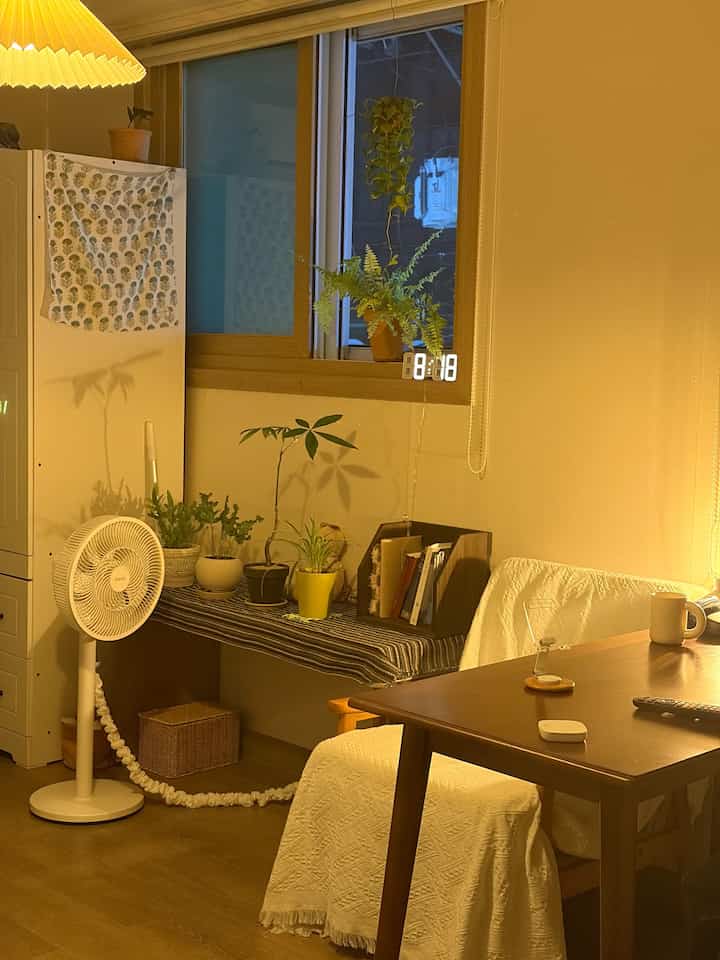涼しい空気がとても良い9月 
送ってください！


＃コンスープ記録集＃今日の私たちの家＃ワンルームインテリア＃7平原ルーム＃フランテリア 