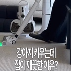 강아지 키우는데 집이 깨끗한 이유
요즘 사용하고 있는 아이닉 아이타워 i50 덕분!

털뭉치랑 같이 살다 보니 습관처럼 청소기 돌리는 견주 인생🐾 기존 청소기는 먼지통을 직접 비워야 해서 매번 번거로웠는데, 아이닉은 스테이션에 거치만 하면 자동 충전부터 먼지 비움까지 알아서 해줘서 청소가 훨씬 편해졌어요!

강한 흡입력은 기본에 그린라이트가 사선으로 나와서
밝을 때도 바닥에 깔린 강아지 털이 너무 잘 보이고,
UV 침구 브러시부터 UV 스팀 물걸레까지 있어서
아이닉 i50 하나로 집안 청소 끝..!

근데 가격은 20만원대? 가성비까지 너무 만족스러운👍🏻

#콘수프기록집 #현명한소비