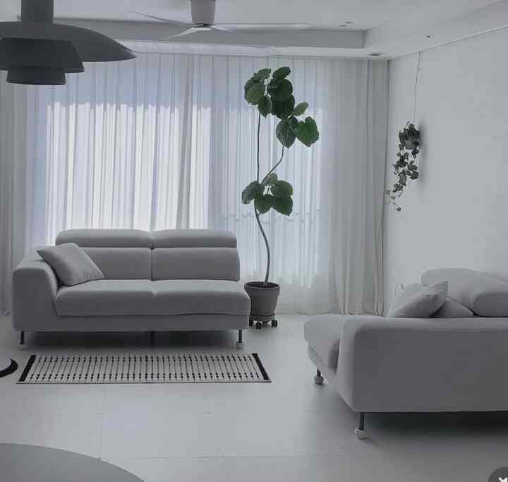 初めて分けて配置してみた我が家ソファ🛋️

ソファが大きすぎて思った感じではなく、とても慌てたけど..
どんどん見てみると悪いけどではないような気も..?🙊

リビングルームの写真は撮るたびに色味がとても気に入らないのに、みんなリビングルームの写真をどのようにしてもきれいに撮ってくれるんですよ~~~!!

最後に..ウンベルタ（大きな植物）リビングに置くかどうかが最近私の悩みですよ🫧

#趣味は家具配置 #콘수프기록집 #거실인테리어 #가구배치 #에싸소파 #에싸 #플렌테리어 #거실 #ftc26기 