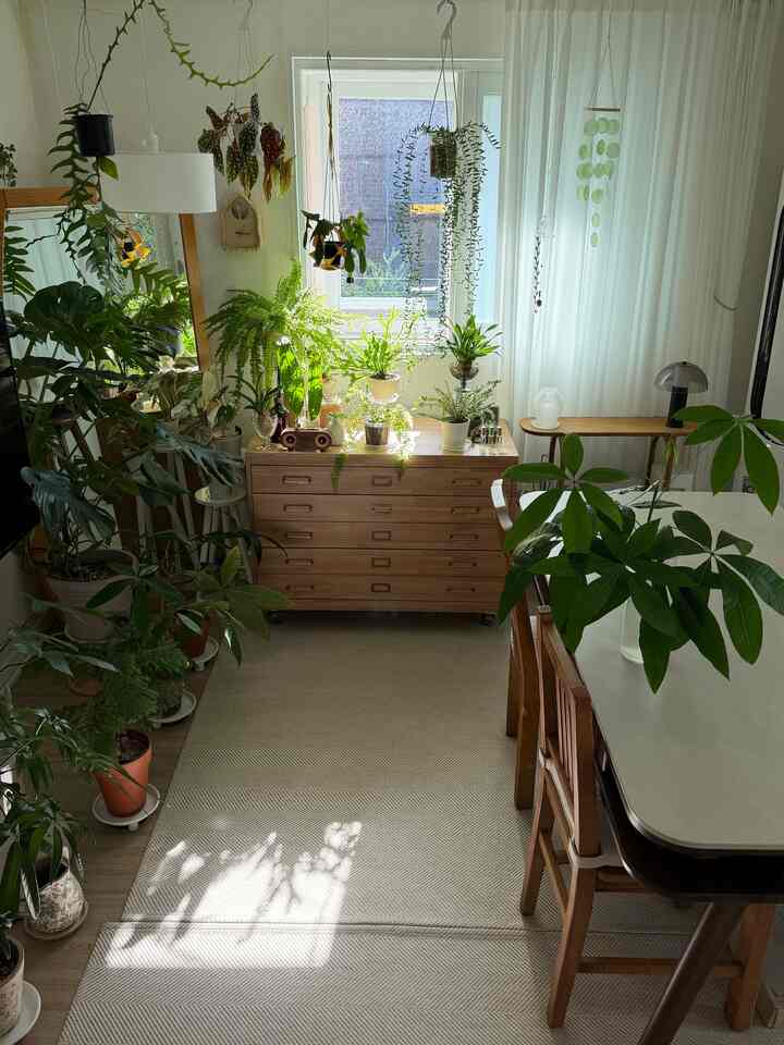 ＃賢明な消費＃コンスープ記録集 

💚原木支流箱を植物棚として活用する🌿

植執事が最も愛情のある植物棚アイテムは
✔️バンド原木支流箱

自然な原木カラー感と緑の組み合わせが
すごいだけでなく、ナチュラルな居心地がいっぱいです。
耐久性も良すぎておばあちゃんになるまで長く使えて下段に車輪があって 
女性一人でもあちこち簡単に移せます。

引き出しは計3本で、
一番上の浅い引き出しは植物配置する用途や
浅いものを入れるのに良く、

2つの深い引き出し
ウェットティッシュや生活用品でいっぱい保管するのに最適です。

生活用品の収納もして植物の棚付けもしてくれる
我が家の最も素敵なテム+綺麗なテム+賢い消費アイテムです。
食執事満足度最高！ 
。
。
。
＃植物＃植民地時代＃フランテリア＃植物インテリア＃支店ボックス＃ホームインテリア＃バンド＃ウッド引き出し＃ウッドインテリア 
