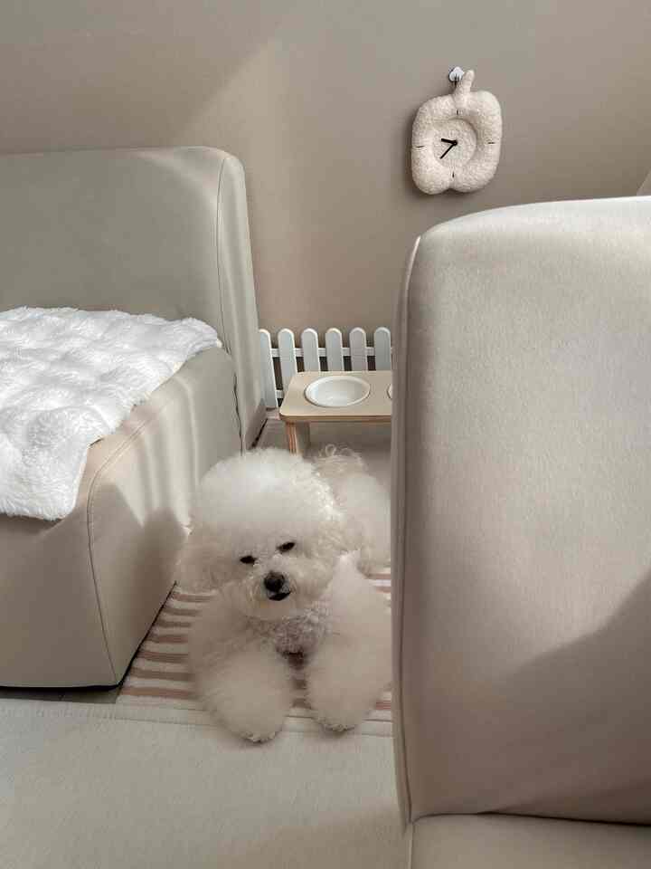 リビングルームの配置を変更する日🛋️

最近リビングの雰囲気を少し変えてみたい
ソファの位置を変えてみることにしました。

ところで、いざ移動しようとするから
トビーがソファの間にすっぽり入ってくるんだ💤

果たしてどう変わったのか
変えた後姿も残してみますよ 𖠿


＃ペットテリア＃インテリア＃子犬と一緒に住んでいる家＃ペット＃リビング＃リビングルーム＃リビング飾り 
