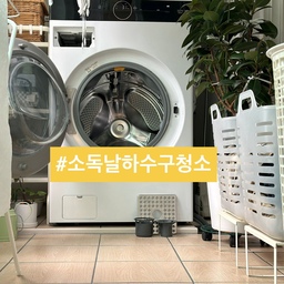 🕳️(세제 없이!) 아파트 소독 날에는 하수구 청소를 해요.
금요 루틴 침구 세탁 와중에 
아파트 소독한다지 뭐예요?
오늘은 집안 곳곳 하수구 청소법을 소개해 볼게요.
📍하수구 청소
1. 우리 집 유일한 베란다 세탁실.
2. 준비물-극세사 걸레, 낡은 칫솔.
3-4. 세탁실 하수구.
5-7. 거실 욕실 하수구.
8. 안방 욕실 하수구.
9-10. 주방 하수구.
⭐️ 세제 대신 수압을 활용하고 틈새는 칫솔로.
소독 날 한 번 더 관리해두면 효과는 곱절!
오늘도 단정한 집을 가꿔요. 🏡
(자세한건 블로그를 참고하세요)
#서나의살림레시피 #미니멀살림러 
#미니멀라이프 #미니멀살림 #감성살림
#분기별루틴 #환절기루틴 #하수구청소 #랜선집들이
#가을맞이 #가을맞이청소 #대청소 #홈케어 #집들이
#세탁실 #세탁실인테리어 #세탁실청소 #온라인집들이
#욕실 #욕실인테리어 #욕실청소 #임장원정대
#주방 #주방인테리어 #주방청소 #룸투어
#콘수프기록집 #인테리어노하우