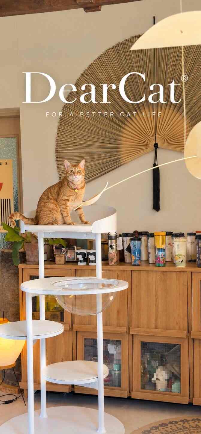 猫が最初に気に入った私たちの家の新しい家具🤍🐈

キャットタワーは猫がよく使うことも重要ですが、
リビングの真ん中に置くだけに、インテリアによく合うのも大切に見た方です。

今回聞いたディアキャットスチールラウンジ4段はホワイトスチールフレームなのでウッドトーンの多い私たちの家にもすっきり調和したんですよ。

何より組み立てが終わるやいなや、天帝がすぐ上に上がって座る成功！
上部スペースが広くて5kg程度の天帝が横になって寝たり、グルーミングするのにもゆったりです。

私が特に気に入ったのは、カチカチのように脱着されるスクラッチャーと全体的な仕上げ。近くで見てもすっきりして一つの家具のように感じられ、高強度スチールフレームなので天帝が上がる時も安定感がありますよ。

こんなに丈夫なのに、私が一人で位置を変える時、大きな力がかからず掃除したり、空間配置を変えたりも楽でした。

透明ハンモックと数階の避難所まであり、天帝がその日その日好きな席を選んでいる様子を見る楽しみもあります。 🤍

猫が楽に滞在しながら家のインテリアまで自然に生かしてくれるキャットタワー、最近天帝の新しい最愛空間です。 🐈

本コンテンツはディアキャットから製品を提供され、直接使用後に作成しました。

＃ディアキャット＃スチールラウンジ4段＃キャットタワー＃キャットタワーおすすめ＃猫キャットタワー＃猫用品＃ペットテリア＃ペットインテリア＃猫インテリア