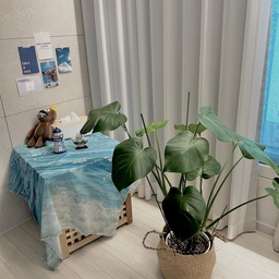 거실 한 켠을 차지하고 있는 여름 감성 ☀️🌞🚢⚓️
계절별로 바꿔주는 소품하나만 있어도 달라지는 우리집 
패브릭 포스터를 테이블보처럼 활용하는 것도 방법이에요
그 옆엔 몇년째 잘 크는 몬스테라로 푸릇함까지 더해줍니다 🌱
몬스테라는 물만 잘 주고 해만 잘봐도
정말 잘 크는 식물이니 한 번 키워보세요.ᐟ 
인테리어 포인트로도 손색없어서
어떤 사진에 걸쳐도 감성 완성이에요 
이제 여름은 가지만
기록은 남겨봅니다:) 
#콘수프기록집 #인테리어포인트 #인테리어소품 #여름맛인테리어 #여름인테리어 #여름아안녕 #윤슬포스터 #패브릭포스터 #여름엽서 #여름인테리어아이템 #오늘의집ftc28기 