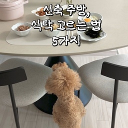#오감리뷰 셀렉션 프로그램을 통해 제품을 제공받아 직접 사용하고 스타일링한 후기입니다.
너무 평소에 사고 싶던 제품이라, 당첨된 후 정말 기뻤어요.
저희 집 부엌 전등이랑 냉장고에 포인트가 되는 검정색 콘 베이스 세라믹 식탁을 늘 갖고 싶었거든요.
주방 톤엔 무드
아무리 예쁜 식탁이어도 주방 조명·가전 톤이랑 안 맞으면 겉돌아요. 이전 식탁도 정말 예뻐서 샀었는데, 저희 집 냉장고랑 조명이 블랙&화이트 톤이라 상대적으로 안 어울리더라구요. 델토는 포키그레이 상판에 블랙 콘 베이스라 저희 집 톤이랑 딱 맞았어요.
상판은 타원형
원형은 자리가 좁아지고 사각은 부피가 커 보이는데, 타원형은 그 중간이에요. 1600×1000 사이즈로, 상판 크기는 사각 못지않게 큰데 타원이라 부담스럽게 커 보이지 않아서 저희 25평 주방엔 딱 맞았어요.
레그룸을 풍부하게, 콘 베이스
좁은 주방, 큰 식탁엔 걸려 넘어지기 일쑤인데, 사방으로 뻗은 다리 대신 중앙 기둥 하나짜리 원뿔형 콘 베이스라 무릎 공간이 훨씬 넉넉해졌어요.
퀄리티 체크는 필수
상판은 프리미엄 6T 포세린세라믹, 하판은 고밀도 18T MDF를 결합한 일체형 구조예요. 상판만 올려놓는 분리형과 달리 밀리거나 흔들리는 느낌이 없고, 그릇 내려놓을 때 소리도 좀 더 둔탁해요. 귀가 쨍하게 울리는 소음은 없더라구요.
쉬운 관리
물기는 바로 닦아주고, 산성 세제만 피하면 얼룩이나 스크래치 걱정 없이 오래 쓸 수 있어요. 이번에 이전 식탁을 팔면서 느낀 건데, 세라믹 식탁은 오염에 강한 편이라 오래돼도 새 것 같아서 중고로도 잘 나가더라구요. 우드 상판보다는 확실히 관리가 쉬워요.
좁은 부엌 고민이신 분들, 델토 식탁 추천해요.
#우드레이 #델토식탁 #포키그레이 #세라믹식탁 #신축살림 #좁은주방인테리어