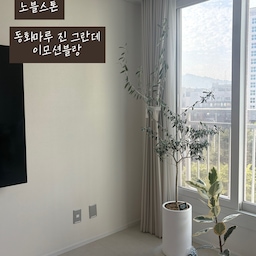 화이트 인테리어, 꼭 제일 비싼 자재여야 예쁜 건 아니더라고요🤍
벽지는 디아망 대신 신한벽지 노블스톤,
바닥은 마뷸러스 젠 대신 동화마루 진 그란데 이모션블랑으로 골랐어요.
어때요 그래도 충분히 이쁘죠??
문 필름까지 직접 영림 매장에서 비교해서 발렌블랑,
걸레받이는 PS010 중백색으로 톤 맞추기!
저는 발렌무디크림파, 신랑은 발렌블랑파였는데😂
시공해보니 발렌블랑이 조명에 따라 쿨하게도 웜하게도 보여서 대만족✨
비싼 자재만 고집하지 않고 가성비 좋게 조합으로 고급스러운 느낌 내기 성공🤍
#자재필승조합 #화이트인테리어 #가성비인테리어 #신한벽지 #노블스톤 #동화마루 #이모션블랑 #영림필름 #발렌블랑 #리모델링 #자재궁합 #발렌블랑 #강마루 #타일느낌 #진그란데