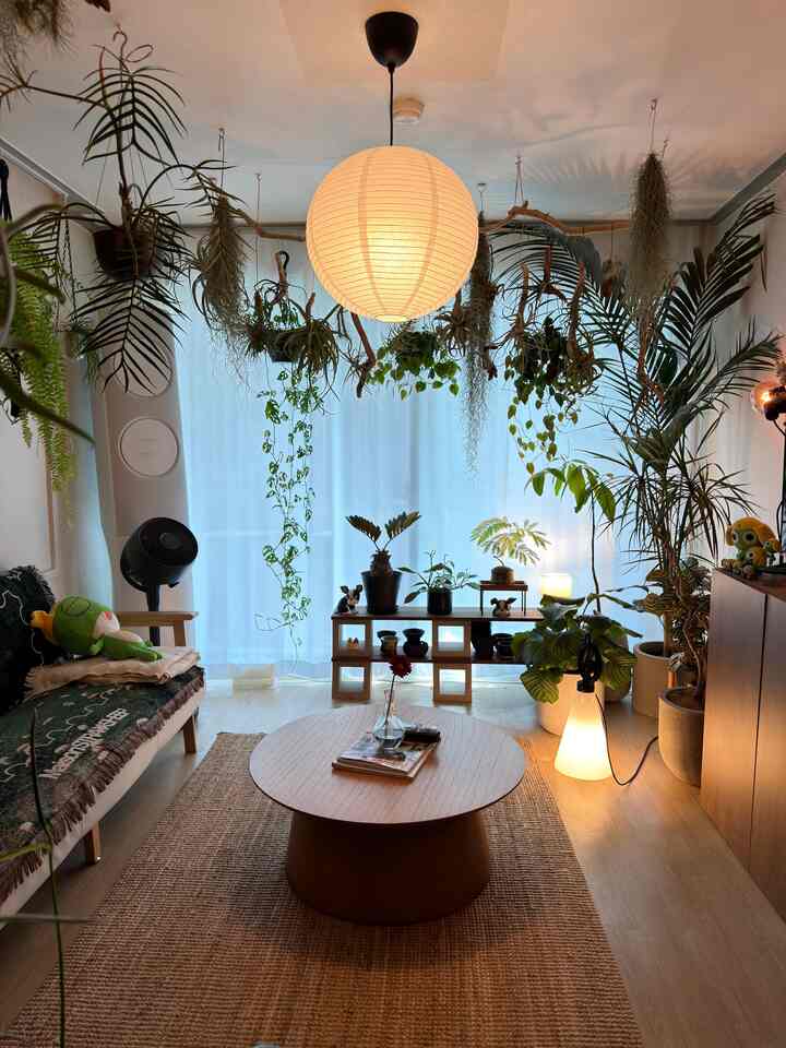 🏡

＃フランテリア＃リビングルームインテリア＃植物インテリア＃お部屋 