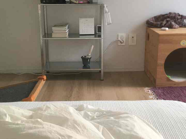 乱れた私の部屋
横になっていると突然写真を撮る💤


＃寝室のインテリア

