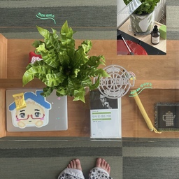 나도 언젠간 이렇게 꼬불꼬불한 식물을 키우고 싶었어…🥓🥬이사 오고 한동안 식물을 들이지 않았는데, 화훼단지 간 김에 뭐라도 사 오고 싶어서 데리고 온 코브라아비스🪴💭 고사리류라 잘 키울 자신은 조금 없지만… 너만큼은 아프지 말고 잘 자라주길!
#콘수프기록 #콘수프기록집 #코브라아비스 #아비스고사리 #식물추천
