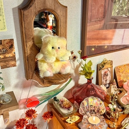 우리집 새친구🧸💛
new friend in my cozy home ʕ•ﻌ•ʔ
.
.
.
.
#테디테일즈 #빈티지인형 #빈티지인테리어
