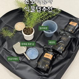 초보식집사 처음으로 분갈이 시도해봤어요!
1년동안 키운 수아베올린스가 뿌리가 꽉차서 힘들어하더라고요
스프링화분이 넘 이쁘지만 식물을 위해 분갈이시도했어요
그동안은 비닐봉투깔아두고 했는데 매번 뒷처리가 힘들어
이번에는 분갈이매트를 구입해봤어요
방수가 되는재질이라 편하고 분갈이후에는 접어서 처리할수가있어 보관도 좋더라고요
초보식집사들에게 꼭 필요한 분갈이매트 추천드려요!
#식집사는너무바빠 #분갈이매트 #초보식집사 #식물키우기 #식물키우기 #식물용품 #화분삽 #식물추천 #수아베올렌스 #화분인테리어 #화분받침대 #화분추천 