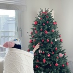작년 닝홈네 레드트리🎄❤️

작년에는 레드 오너먼트로
따뜻하고 꽉 찬 느낌의 크리스마스 트리를 꾸며봤어요🎄

층고가 높은 거실에 180cm 트리를 두니까
실제로 봤을 때도 더 웅장하고
사진으로 담아도 크리스마스 분위기가 가득하더라구요🤍

올해는 작년과는 조금 다르게
화이트 오너먼트 중심으로 꾸며볼까 고민 중이에요!

화이트 + 실버처럼 깔끔한 느낌도 예쁠 것 같고,
레드 포인트를 살짝 더해도 예쁠 것 같아서
벌써부터 어떤 트리로 꾸밀지 고민하는 중🎄

올해 크리스마스 트리도
닝홈 스타일로 예쁘게 꾸며볼 예정이에요🤍

트리·오너먼트 업체 사장님들👀
올해 닝홈네 크리스마스 함께 꾸며주실 곳
기다리고 있을게요🎄🤍

#콘수프기록집 #현명한소비
#크리스마스 #트리 #오너먼트 #블라인드 #가리개
#잠옷 #블랭킷 #담요
#연락주세요 #트리맛집 #크리스마스트리
#트리꾸미기 #크리스마스인테리어