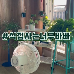 #식집사는너무바빠 #챌린지 #콘수프기록집 
이제 날씨가 쌀쌀해지다보니 식집사는 맴이 바빠지구요...ㅋㅋ
그래서 아침에 일어나면 식물들 햇빛존으로 
옮기기바빠지구요....ㅋㅋㅋ
물주는 시기가 좀 늘어나서 여름보다는 덜 바뿌지만...
식집사는 식물들 하나하나 살피기 바쁜 아침이구요!!!ㅋㅋ
식집사에게 요즘 트롤리는 아주 필수템이다싶구요!
트롤리 하나에 식물들 올려서 이동하면 아주 수월하구요...
식물도 많지도 않은데 식집사는 너무 바쁜데
식물를 많으신분들은 정말 대단하다싶습니다!!!
#맞팔 #맞팔환영 #맞팔선팔 #맞팔소통 #맞팔환영해요 
#식집사 #식집사일상 #식집사성장기 #식집사필수템
#트롤리 #식물트롤리 #트롤리추천 #오늘의가든