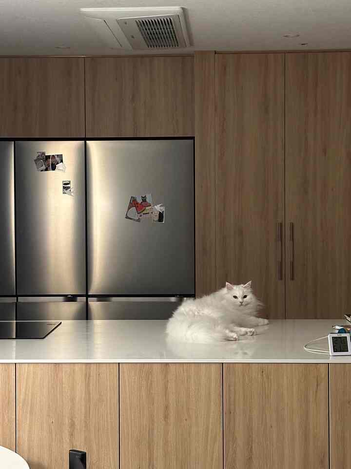 #호텔같은우리집

モダンなライフスタイルに赤ちゃんのウィット、そしてニャンハンスプーン🐈‍⬛✨
寝室の穏やかな照明、キッチンのユニークなペンダント❤️
手の届くところごとに好きな好みをしっかりと押し込めました。  

毎日リラックスした休憩を作っていく居心地の良いお座敷です🌿☕

 #오늘의집 #집소개 #랜선집들이 #모던인테리어 #블랙앤화이트 #반려묘와함께하는집 #감성집꾸미기