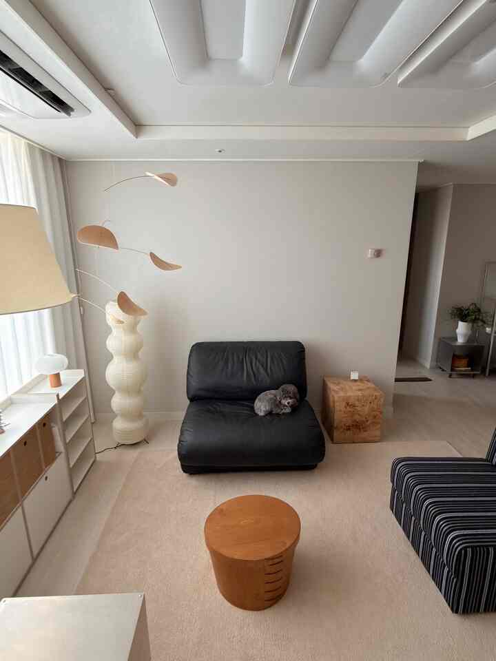 ややリビングルーム update •• 🛋️
1人ソファの魅力はやはり移りやすいということ！
ソファの位置を変えながら大きな照明位置も移してくれ、寝室にあったバルウッドテーブルも持ってきてみました。とても変えましたが、何かが好きです〰️

ソファーにチーズのように溶けてしまったやつの姿を見たら写真を残すことができませんでした••🖤

＃コンスープ記録集＃インテリアノウハウ＃リビングインテリア＃ブラックソファ＃1インソファ 