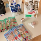 우리집 고양이들 주식과 간식샷

사료는 힐스
- 프리스크립션다이어트 치킨 Z/D
- 사이언스다이어트 KITTEN
- 키튼 스튜 치킨/라이스

간식은 챠오츄르
- 신장건강케어 닭가슴살
- 헤어볼케어 참치 

기호성 좋은것들로 정착해서 먹이고 있어요🐱

#콘수프기록집 #현명한소비 #묘네의집 #고양이와사는집 #미니멀라이프 #집꾸미기 #고양이사료 #고양이간식 #다묘집사 #육묘 #육묘템 #냥집사