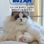 누잠은 진짜 사랑이에요..🩵

원래 사용하던 토퍼도 넘 잘쓰고 있었는데

더욱 새로워진 누잠 스프링 토퍼 매트리스는

더 좋아 진거 있죠?😋

매트리스가 오래 되어서 , 걸터 앉기만 해도

푹푹 꺼져서 잠자고 일어나면 개운하지도 않고

허리,목 안아픈데가 없거든요 

그렇다고 매트리스를 바꾸기는 부담 스럽고 

근데 오래된 매트리스 위에

<누잠 스프링 토퍼 매트리스> 깔아 주었더니

정말 오랜만에 푸우욱~ 잔 기분 ☀️

특허받은 3중 스프링 화이버가 온 몸을 잘 받쳐 주니까 

결리고 뻐근하던 어깨 허리도 엄청 가벼워 지더라구요 

똑바로 누워자도, 옆으로 자도 넘 편함!

역시 잠자리가 중요 하구나를 다시 한번 느끼게 된…

그리고, 통세탁 까지 되니까

세탁소 맡길 일 없어 세탁비도 안든다구요!!ㅎㅎ

함께 사용 하기 좋은 사계절 커버도

부들 부들 촉감 좋고, 알러지 케어 원단이라

어린 자녀, 반려동물 있는 집에서 사용 하기도 좋아요!!

오래된 매트리스, 불편한 잠 자리 고민이라면

누잠 스프링 토퍼 매트리스

꼭 구경 가 보세요 🩵 

#누잠 #누잠토퍼 #누잠매트리스 #누잠스프링토퍼매트리스
#콘수프필름 #현명한소비 #침대토퍼 #누잠토퍼 #누잠토퍼매트리스 #토퍼매트리스 #펫테리어
