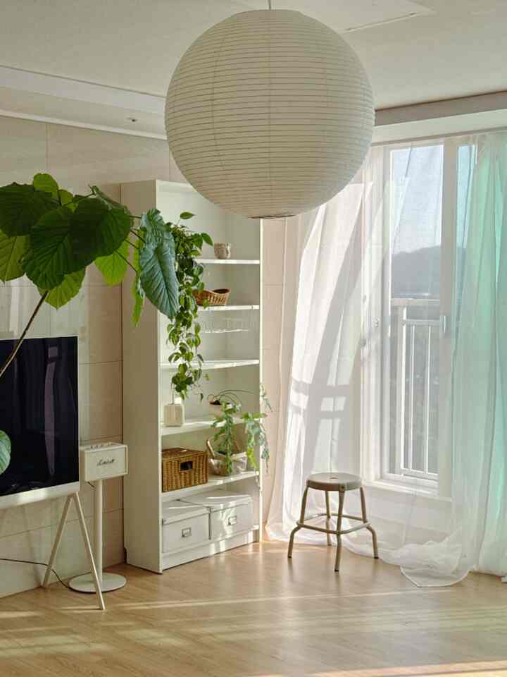 7年書いてみました、この家具が定番の理由✨
いつのまにか7年目使っているIKEAビリー収納棚です。
ファッショナブルな家具の間でこのように長くそばを守るのは話だけですねㅎㅎ
書けば使うほどなぜ定番なのか分かりました。

✴︎point✴︎

➊棚の高さを自分の好きなように調整できます。
植物が成長したら、カンスを上げ、小道具が増えるとカンスを分ける
その時、その時、私たちの家の状況に合わせて変えることができます。 
長く使っても飽きる隙がなかった

➋ホワイトラはどこでもすごいです。
ラタンバスケットも、植物も、小物も何を上げても
とてもよく似合います。

➌頑丈です。
値段は良いのに7年を使っても相変わらずすごい！

これほどコスパの終わりは王ではありません！
私は一番上に小さな小道具、中には植物を置きます。 
下には蓋付きの収納ボックスを入れて
厄介なのは芽-隠してしまいました。

日当たりの良い窓辺の隣に置くと、午後には
棚の間に染み込んで雰囲気を感じます...💛

棚を悩んでいるならイケアビリー棚 
自信を持ってお勧めします🫶

＃コンスープ記録集＃賢明な消費＃イケアビリー＃ビリー＃ビリーデスク
＃シェルフを飾る＃シェルフスタイリング＃シェルフ推奨
＃イケアで飾られた家＃イケアスタイリング＃リビングインテリア＃リビングを飾る＃リビング棚
#リビングスタイリング
