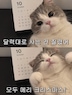 게시글 미리보기 이미지