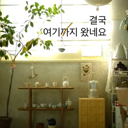 #콘수프기록집 #예쁜템최고야 
무언가에 빠지면 그것만 파는 스타일이라
결국 창가 한켠에 차실을 만들었어요. 
다다미를 깔고 
그동안 사 모은 기물들 전시해두고 
차를 두려고 
클립 포인트로 수납장도 샀는데 
냄새가 너무 안 빠지네요 ㅠㅠ
아직 완성되려면 
발뮤다 문케틀도 사야하고
테이블도 사야 하지만
괜히 지나가다 시선이 머물면 
흐뭇해요. 
차를 즐기기 너무 좋은 날씨에요.
#다기세트 #다기 #다구 #다구세트 #찻자리 #차실 #다다미 