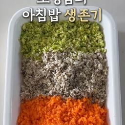 추천 주방템_2탄 🥕
초딩맘의 아침밥 준비를 도와주는 주방템✨
매일 아침 등교 준비에 밥까지 챙기려면
시간이 정말 부족하잖아요😵‍💫
이럴 때 유용한 글라스 다지기!
자투리 채소를 간편하게 다져서
야채큐브로 만들어두면
필요할 때마다 꺼내 쓰기 좋아요👌🏻
야채죽부터 계란말이, 유니짜장까지
다양한 요리에 활용할 수 있답니다❤️
채소 손질은 간편하게,
아침밥 준비는 조금 더 여유롭게!
#오늘의우리집 #콘수프기록집 #ftc28기 #ftc28 
#추천주방템  #야채다지기 #블렌더 #초퍼 #전동다지기 #믹서기 #홈스타일링 #아이와함께사는집 #요리꿀팁 #주방템