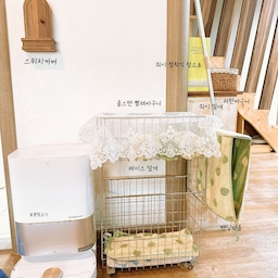 제가 자주 쓰는 #청소템 소개해요✨
저는 욕실 옆에 저렇게 청소존을 두고 사용중이에요! 
#로봇청소기 #드리미 
걸레도 먼지흡입도 저는 매우 만족하며 쓰고 있어요!! 
2년 됐는데 고장없이 튼튼! 직배수 아니어도 큰 불편은 없더라고요~
#올스텐빨래바구니 
정말 애정하는 아이템!!! 
젖은 빨래때문에 빨래함이 항상 곰팡이가 결국 쓸게돼서 고민이었는데🥹
올스텐 빨래바구니로 한방에 해결했어요! 
젖은 수건 막 넣어놔도 걱정없고 저처럼 젖은 수건 걸어놓고 말렸다가 넣을수도 있어서 너무 유용해요! 
#젖은빨래바구니 강력추천템🙌🏻
#쿼시 #점착식청소포 #밀대
화장실이나 바닥 건조후 머리카락과 먼지 청소하기 제일 유용!!! 
밀대도 길어서 허리 굽히지 않아도 돼서 너무 좋아요 😃
추가로 청소템은 아니지만, 저희집 수납은 모두 
#라탄바구니 통일해서 쓰는데 우드인테리어랑 넘 잘 어울려요🤎
마지막으로 제가 정말 이뻐하는 #스위치커버 
마침 사진에 걸려서 같이 소개해봤어요☺️
우리집 #우드인테리어 찰떡 아이템!
우리집을 깔끔하고 이쁘게 유지시켜주는 아이들 소개해봤습니다✨

