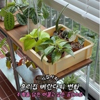 식물은 하나둘 늘어나는데
이상하게 베란다는 늘 정리가 덜 된 것처럼 보였어요.

특히 길고 폭이 좁은 베란다라
가구나 식물을 어떻게 배치해야 할지 더 고민이 되더라고요.

그래서 이번엔 식물만 두는 공간이 아니라
좁은 공간을 최대한 활용하면서
조금 더 정돈되고 편안하게
머물 수 있는 공간으로 바꿔보기로 했어요.

새로운 원목 선반 상판을 올리고
식물들을 그룹화해 정돈되어 보이도록 바구니를 더하고,
취향이 담긴 빈티지 화분들도 하나씩 들였어요.

스탠드를 활용해 식물을 높낮이 있게 배치하고,
의자와 러그, 조명까지 더해
작지만 제 취향이 자연스럽게 보이는 베란다로 완성해봤어요.

공간이 좁다고 꼭 많은 걸 포기해야 하는 건 아닌 것 같아요.
지금 있는 공간에 맞게 정리하고,
좋아하는 것들을 하나씩 더해가다 보면
작은 공간도 충분히 머물고 싶은 곳이 될 수 있으니까요.

이제는 식물을 돌볼 때도, 잠시 앉아 있을 때도
전보다 훨씬 마음이 가는 공간이 되었어요.☺️

#베란다꾸미기 #식집사 #플랜테리어 #홈스타일링 #식물인테리어