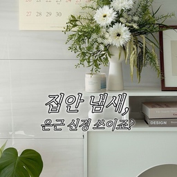 #호텔같은우리집 #콘수프기록집 
집안에 있다 보면 음식 냄새부터 신발장, 화장실 냄새까지
은근 신경 쓰이는 냄새들이 있잖아요.
이번에 사용해본 라브아는
기존 제품보다 용량이 더 커지고
탈취력과 발향력까지 더 강력해진 탈취제예요.
라브아만의 4-step 탈취 기술로
30분 만에 악취 원인 99.8% 제거하고,
한 번 사용으로 최대 120일까지
탈취 & 향기 케어가 가능하다고 해요.
제가 사용한 향은
화이트티 & 자스민 🤍
직접 맡아보니 은은하면서 상쾌한 느낌에
갓 우려낸 백차처럼 맑고 깨끗한 향이 느껴졌어요.
향이 확 퍼지는 느낌보다는
잔잔하게 남아서 개인적으로 더 마음에 들더라고요.
아이와 반려동물이 함께하는 공간에서도
부담 없이 사용할 수 있는 펫 프렌들리 탈취제라
집안 곳곳의 냄새 케어용으로 사용하기 좋았어요.
#라브아서포터즈 #라브아 #탈취제추천 #실내탈취제 #고체탈취제 #대용량탈취제 #드레스룸탈취제 #향기인테리어 #식물인테리어 #식집사 #아스파라거스나누스 #렉슨미나  #독일토분 #화분인테리어 #헤이몰리 #벽난로장식장 #우드인테리어 #화이트인테리어 #거실인테리어 #거실꾸미기 #조화 #영이오브제 #도자기화병 #달력 #몬스테라 #다이소 #달항아리 #오늘의가든 