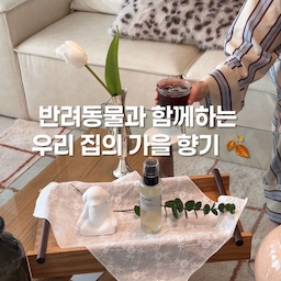 가을맞이 기분전환으로 새로운 향을 들였어요 🍂
반려동물 키우시는 분들은 공감하시겠지만
집에 향을 들이는 게 늘 조심스러운데요.
요 제품은 반려동물에게 무해한 제품이라
마음 놓고 사용할 수 있어 더 만족스러워요 🤍
귀여운 디자인으로 인테리어 포인트도 되고,
프랑스 그라스산 프래그런스를 사용해
차분하면서도 무게감 있는 향이 매력적이에요.
은은하게 퍼지는 향 덕분에
마음까지 편안해지고 차분해지는 기분 :)
안 그래도 집순이인데,
기분 좋은 향까지 더해지니
집에서 머무는 시간이 더 좋아졌어요 🕯️
@balancedpaws.official
#오늘의집 #오늘의집온라인집들이 #오늘의집인테리어 #오늘의집리빙 #리빙 #리빙스타그램 #리빙계정 #리빙인스타그램 #홈스타그램 #홈인테리어 #집스타그램 #집꾸미기 #홈스타일링 #인테리어소품 #감성인테리어 #유럽풍인테리어 #맥시멀리스트 #신혼집인테리어 #32평인테리어 #향기로운집 #홈프래그런스 #홈퍼퓸 #룸스프레이 #디퓨저 #향기템 #향테리어 #집꾸미기소품 #인테리어노하우 #콘수프기록집

