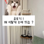 #현명한소비 #콘수프기록집 

📚 제목 | 거실 분위기를 바꿔준 책 모양 공유기 정리함

예쁘게 꾸민 거실에서 
유독 눈에 거슬리던 공유기와 전선들 😂
어떻게든 깔끔하게 숨기고 싶어서 한참을 찾아보다가 발견한 책 모양 공유기 정리함이에요! 🤍

처음엔 윌리엄 모리스 패턴에 반했는데, 
직접 사용해 보니 실용성까지 만족스럽더라고요.
공유기와 멀티탭을 깔끔하게 가려주면서 책장에 올려두면 인테리어 소품처럼 자연스럽게 어우러져요. 🌿

작은 정리함 하나 바꿨을 뿐인데 
거실 분위기가 훨씬 깔끔해진 느낌!
예쁘기만 한 게 아니라 쓰임까지 좋은, 
찐만족 내돈내산 살림템이에요. 🫶🏻
공유기 정리가 고민이셨다면 참고해 보세요! 🤍
.
.
.
#공유기정리함 #공유기정리 #멀티탭정리함 #전선정리 #거실인테리어 #집꾸미기 #수납아이디어 #살림템 #내돈내산
