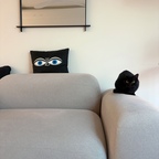 #예쁜템최고야 예쁜 블랙 포인트🖤

무심하게 툭 올려두기만 해도 존재감 확실한 비트라 쿠션.
심플한 공간에 위트 있는 포인트 하나 더하기.

예쁜데 개성까지 확실한 이런 아이템, 정말 최고야!

#콘수프기록집 #맞팔 #맞팔해요 #쿠션추천 #비트라 #비트라소품 #거실인테리어 #블랙포인트 