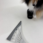 국민 청소템!☁️ #쓰리잘비 

강아지 키우는 집에 털은,, 🙂‍↔️
가벼워야 자주 사용하는데 일단 합격!
사실 비슷한 제품들이 많아서
다르면 얼마나 다르겠어했던 나.. 반성합니다ㅠ

강아지털, 머리카락 진짜 잘 쓸려요!
그리고 씻고 나면 화장실에 물기제거에도🫶🏻
하나로 여기저기 사용하기 좋아서 추천〰️