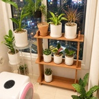 
밤이 예뻐지는 우리 집 플랜테리어 

🌿 밤이 더 예뻐지는 우리 집 초록 코너소개해요💕

하루를 마치고 집에 돌아오면
가장 먼저 눈길이 가는 곳, 바로 이 작은 식물 코너예요.

따뜻한 우드 선반 위에 하나둘 모은 식물들,
새하얀 화분과 창밖으로 반짝이는 도시의 불빛까지.
특별한 인테리어를 하지 않아도
좋아하는 것들로 채운 공간은 그 자체로 충분히 아름다운 것 같아요. 🤍

식물이 많아질수록 물 주고 돌봐야 할 일도 늘어나지만,
새잎이 돋아나는 모습을 발견하는 날이면
괜히 하루가 더 기분 좋아지더라고요.

거창하지 않아도 괜찮은,
나만의 취향으로 천천히 채워가는 집.

오늘도 이 작은 초록 쉼터에서
잠깐의 여유를 누려봅니다. 🪴

여러분은 집에서 가장 좋아하는 공간이 어디인가요?

#오늘의집 #식물인테리어 #홈가드닝 #플랜테리어 #거실인테리어 #우드인테리어 #화이트인테리어 #홈스타일링 #집꾸미기 #우리집기록 #맞팔 #맞팔환영 
