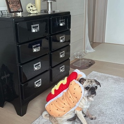 #오늘의우리집 #콘수프기록집 
#할로윈 🎃
10월 1일부터 할로윈 소품을 꺼내고 싶어했던 신랑인데요🤣 (미국인이라 문화적인거니 양해부탁 드려요! ㅎㅎ 할로윈 싫어하시는 분들은 조용히 뒤로 가기 눌러주세용 ㅎㅎ ) 
제가 집에서 촬영할 것들이 있다보니
할로윈 소품은 좀 있다가 꺼내자 하니 한참 기다려줬어요 ㅎㅎㅎ
그러다가 어젯밤에 다시 물어보더라구요
그래서 응 마음껏 꺼내놔도 돼! 그랬더니
하나 둘씩 꺼냈답니다 ㅎㅎ
소품은 아시다시피 엄청 많은데 일단 1/10만 꺼냈어용
사진은 작년 사진도 몇장 넣어봤어요
귀여운 랄르신 코스튬 위주로요 🤭
마지막 사진 2장은 무서울수도 있으니 
조심하세요🤫♥️
#할로윈소품 #할로윈데코 #할로윈인테리어 #할로윈파티 #할로윈홈파티 #할로윈꾸미기 #할로윈코스튬 #할로윈준비 #반려견과사는집 #반려견 #귀요미 #가을 #20평대거실 #halloween 