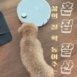 절반은 양가 동생들이 채워준
우리집 잘산템을 소개합니다 🎁 ‎｡.✩ ⊹ 。 
_
#콘수프기록집 #현명한소비 #현명한소비템 #신혼집잘산템 #신혼집가전추천 #신혼집꾸미기 #신혼집가전 #로보락 #다이슨에어랩 #에어랩 #이동식티비 #전기그릴 #전기그릴추천 #집꾸미기 #신혼부부잘산템 #신혼집 #신혼가전 