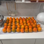 감풍년 대봉감 말리는 중이에요 !

대봉감 하나씩 정성껏 말려서 달콤한 홍시로 만들고 있어요.
시간이 지날수록 조금씩 변해가는 감을 보는 재미도 있고, 잘 익어가는 모습을 기다리는 시간마저 참 즐거워요 :)

이렇게 하나씩 말려두면 나중에 달콤하고 부드러운 홍시를 맛볼 수 있겠죠? 🤍
계절의 변화를 느끼며 기다리는 소소한 즐거움이 좋네요 !

#대봉감 #홍시만들기 #감말리기 #가을일상 #오늘의우리집